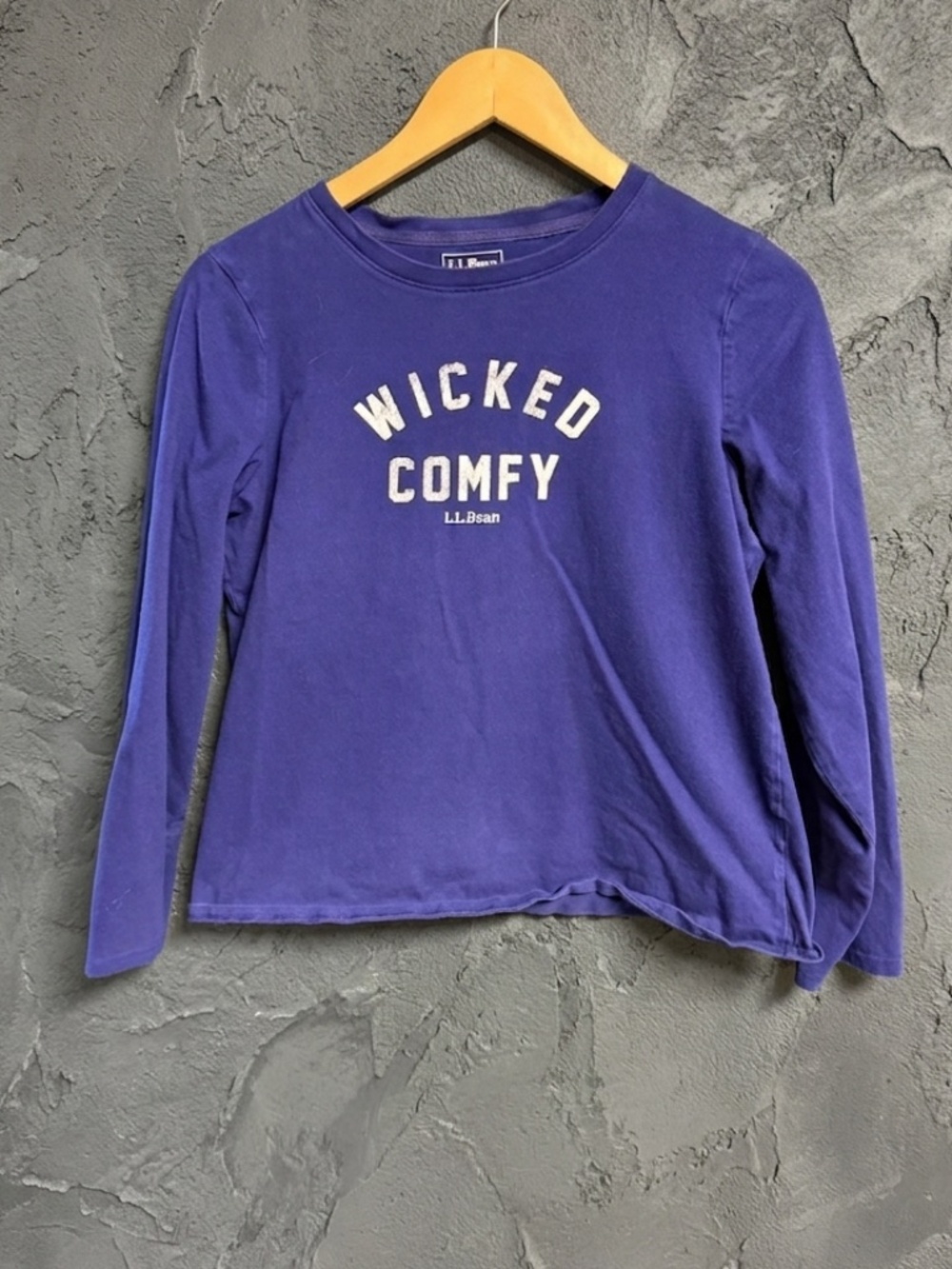 L.L. Bean "Wicked Comfy" Long Sleeve Graphic Tee Purple Blue Small S REG